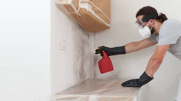 Professional Mold Testing technician working in Hicksville, NY