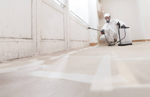 24/7 Emergency Mold Testing experts in Hicksville, NY