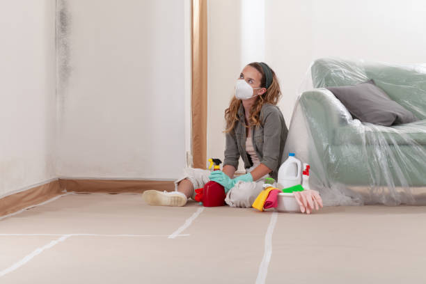 Reliable Mold Testing contractor in Hicksville, NY by WQB Mold Removal
